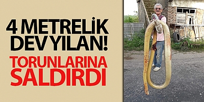 Torunlarına saldıran dev yılanı tüfekle öldürdü