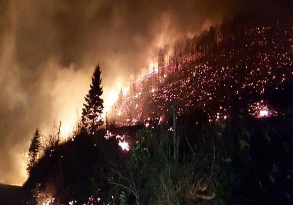 Trabzon Ve Giresunda Orman Yangınları