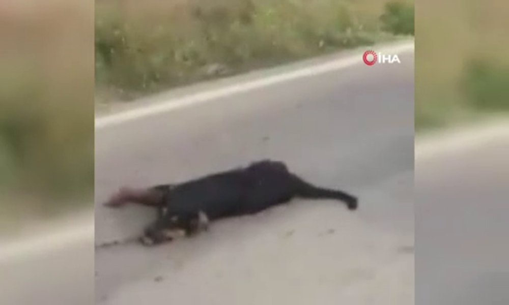 Trafikte dehşete düşüren görüntü