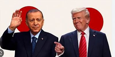 Trump ve Erdoğan Suriye Konusunda Birlikte Çalışma Kararı Aldı