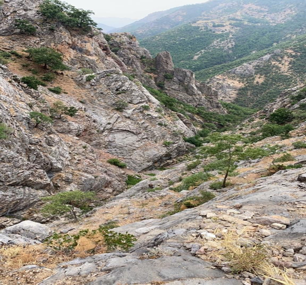 Tunceli’de “Yıldırım-4 Munzur-Kutu Operasyonu