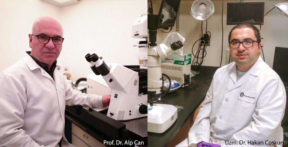 Türk doktorlardan Covid-19 ile ilgili detaylı makale