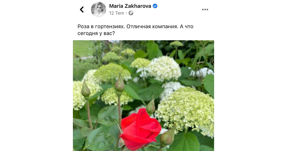 Türk takipçisi, Zaharova’yı dağ lalesine benzetti