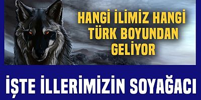 Türkiye'de hangi il hangi Türk boyundan geliyor? Şehirlerin soyağacı..