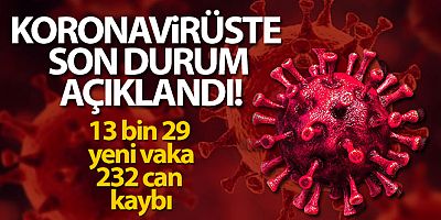Türkiye'de son 24 saatte 13.029 koronavirüs vakası tespit edildi