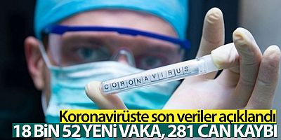 Türkiye'de son 24 saatte 18.052 koronavirüs vakası tespit edildi