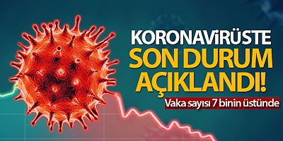 Türkiye'de son 24 saatte 7.419 koronavirüs vakası tespit edildi