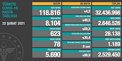 Türkiye'de son 24 saatte 8.104 koronavirüs vakası tespit edildi