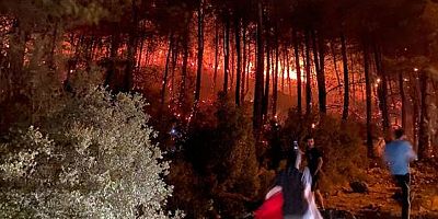 Türkiye'de son 30 yılda ne kadar ormanlık alan yandı? İşte detaylar...