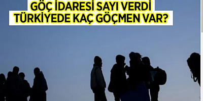 Türkiye'deki göçmen sayısı açıklandı!
