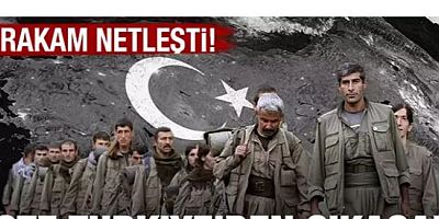 Türkiye'den çıkacak terörist sayısı belli oldu!
