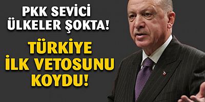 Türkiye, Finlandiya ile İsveç'in NATO'ya üyeliklerini engelledi