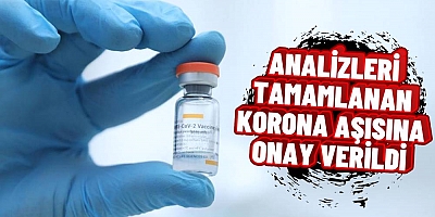 Türkiye İlaç ve Tıbbi Cihaz Kurumu, Coronavac aşısı için “Acil kullanım onayı