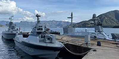 Türkiye'nin başarısı Batı'nın dilinde