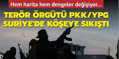 Türkiye'nin kararlı duruşuyla terör örgütleri köşeye sıkıştı! 