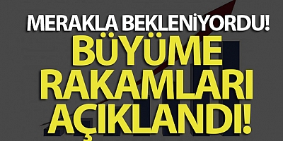 Türkiye yılın ilk çeyreğinde yüzde 4.5 büyüdü