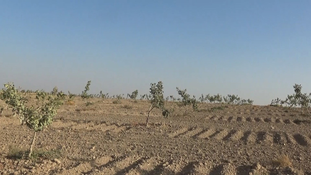 Türkiye’de yağışlar geçen yıla oranla yüzde 22 azaldı, kuraklık tehlikesi baş gösterdi