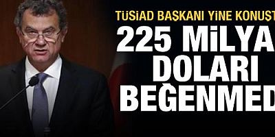 TÜSİAD Başkanı Simone Kaslowski konuştu! 225 milyar doları beğenmedi