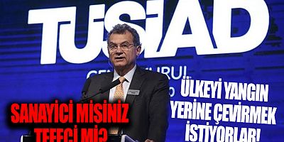 TÜSİAD neden sanayici derneği gibi değil tefeci gibi davranıyor?