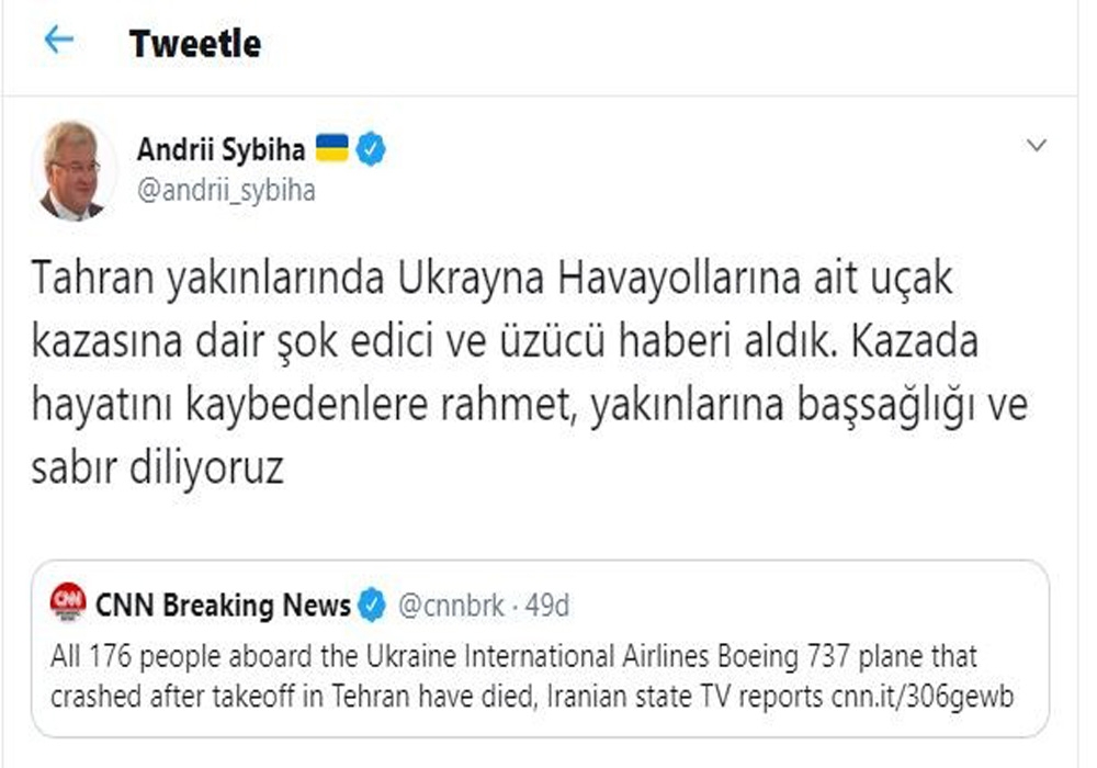 Ukrayna Büyükelçisinden uçak kazasına ilişkin açıklama