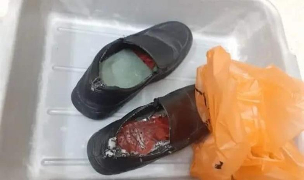 Ürdünde Ayakkabılara Gizlenmiş 8 Nadir Kuş Bulundu
