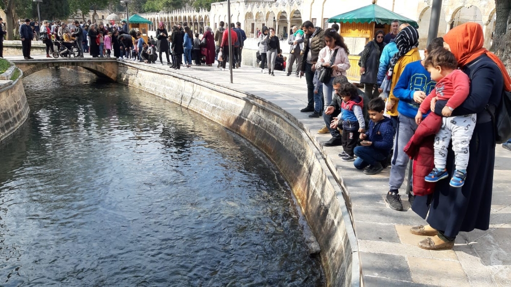 Urfalılar hafta sonu Balıklıgöl’e akın etti