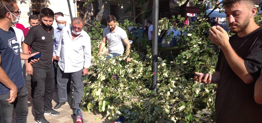 Üzerine ağaç düşen çocuk ölümden son anda kurtuldu