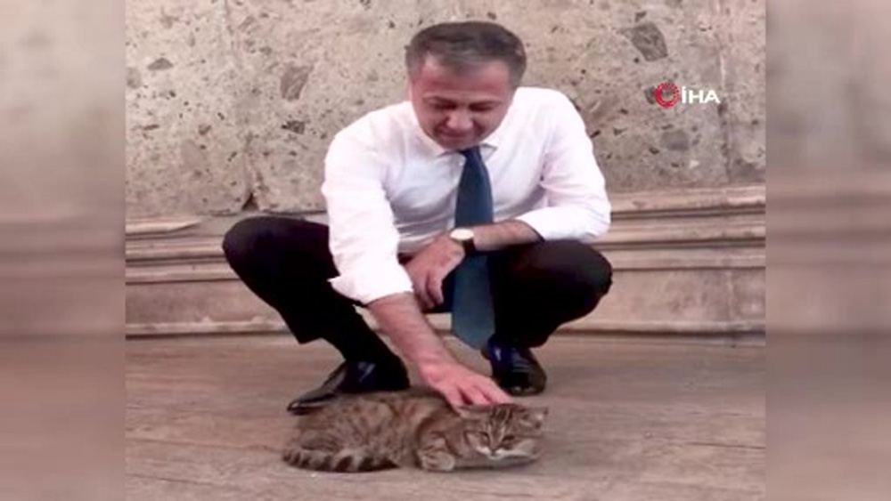 Vali Yerlikaya Ayasofya’nın meşhur kedisiyle ilgilendi
