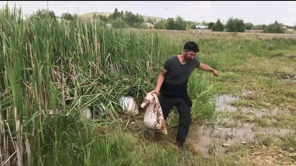 Van’da kaçak avlanmış 14 ton inci kefali ele geçirildi