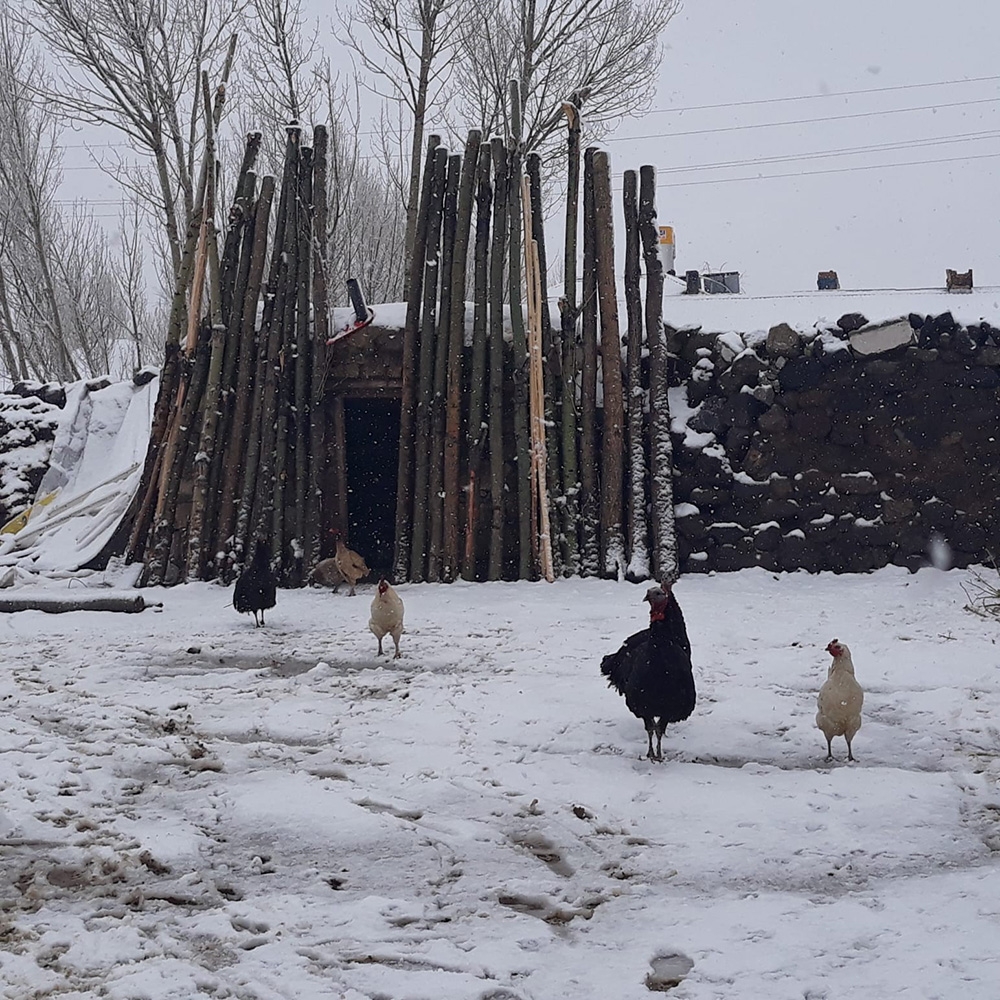 Van’da Nisan ayında kar sürprizi