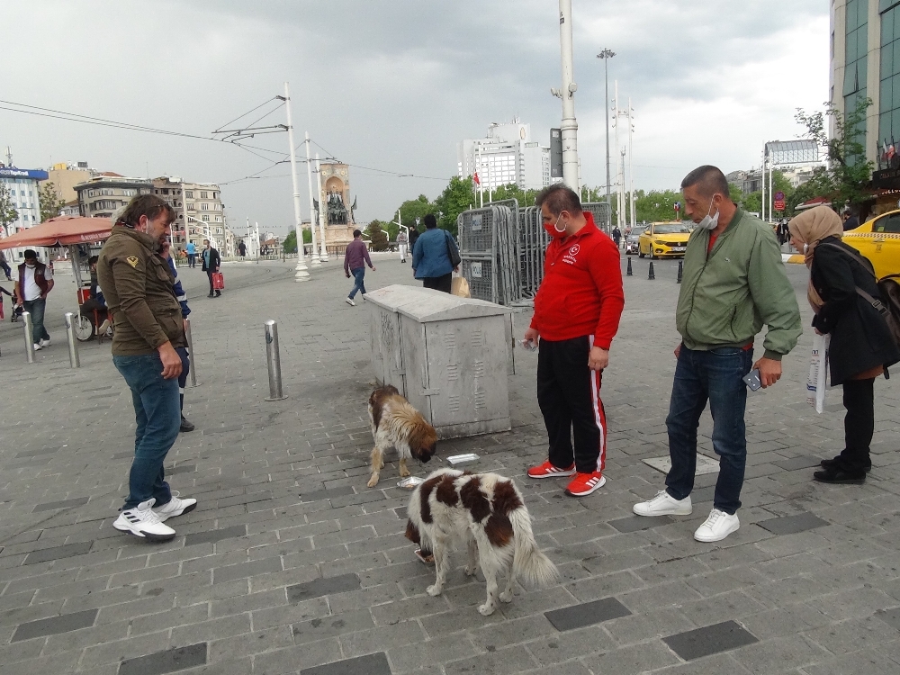 Vatandaşlar ayağı kırılan köpek için seferber oldu
