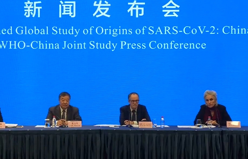 Wuhan’daki DSÖ ekibinden korona virüsün kökenine ilişkin açıklama