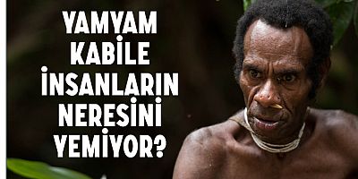 Yamyam kabilesini gözlemledi: Suçluları ceza için yiyorlar