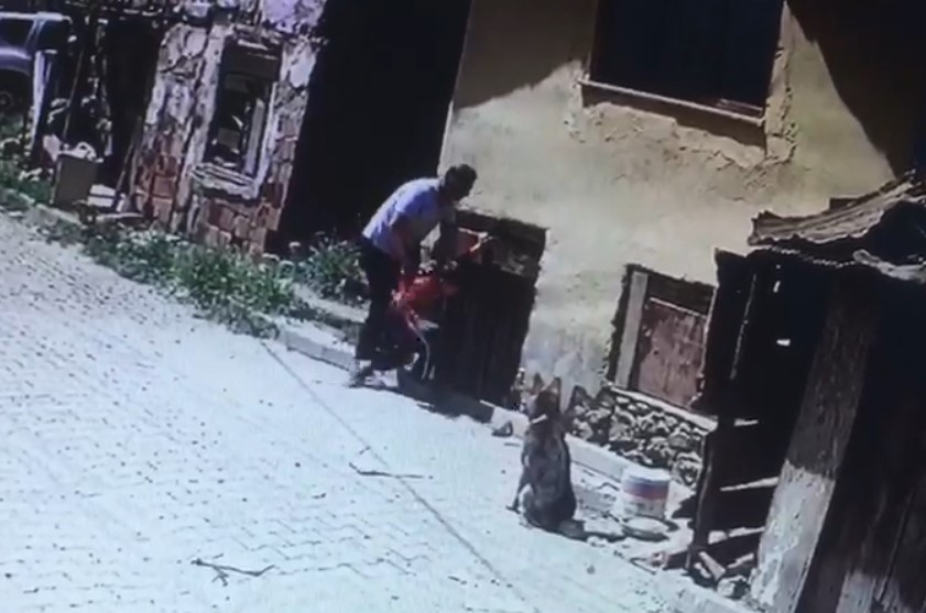 Yaramazlık yaptığı gerekçesiyle 8 yaşındaki çocuğu köpeklerin önüne attı