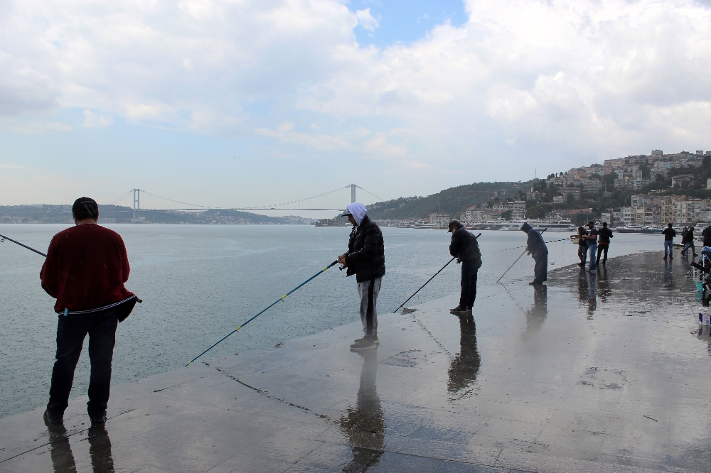 Yasak kalktı, Bebek Sahili hareketlendi