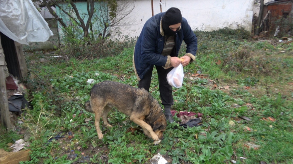 Yaşlı adam emekli maaşının çoğunu sokak hayvanları için harcıyor