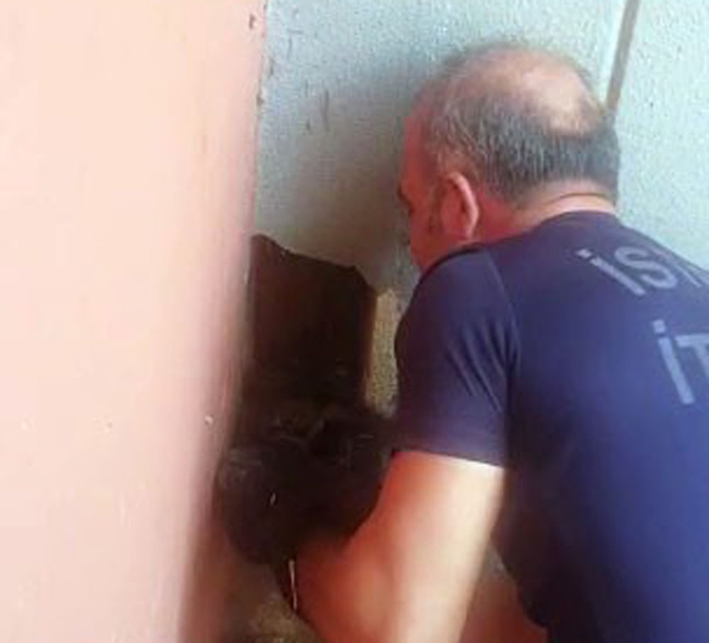 Yavru kediyi kurtarma operasyonunda iç ısıtan görüntüler