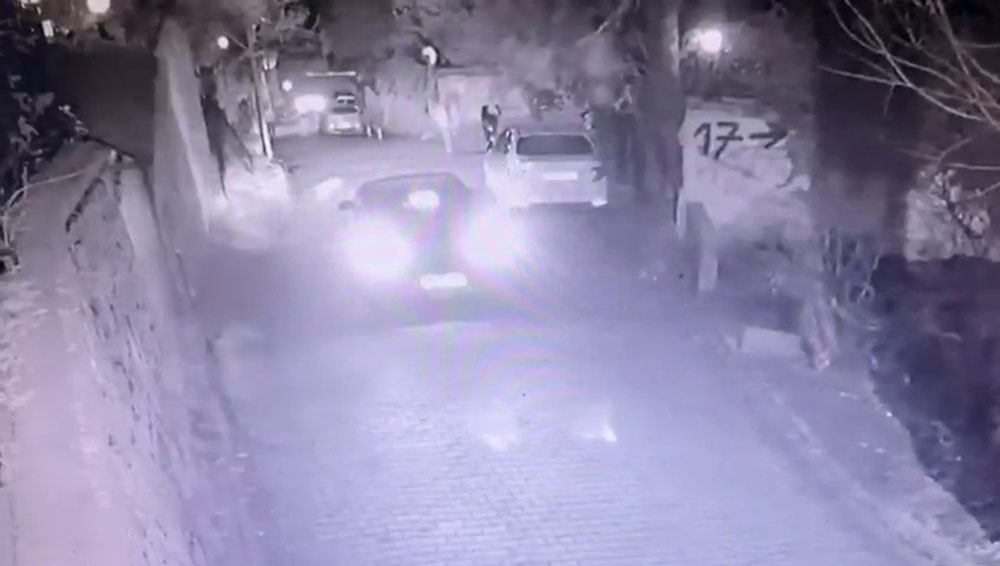 Yavru köpeğin otomobilin altında kaldığı anlar kamerada