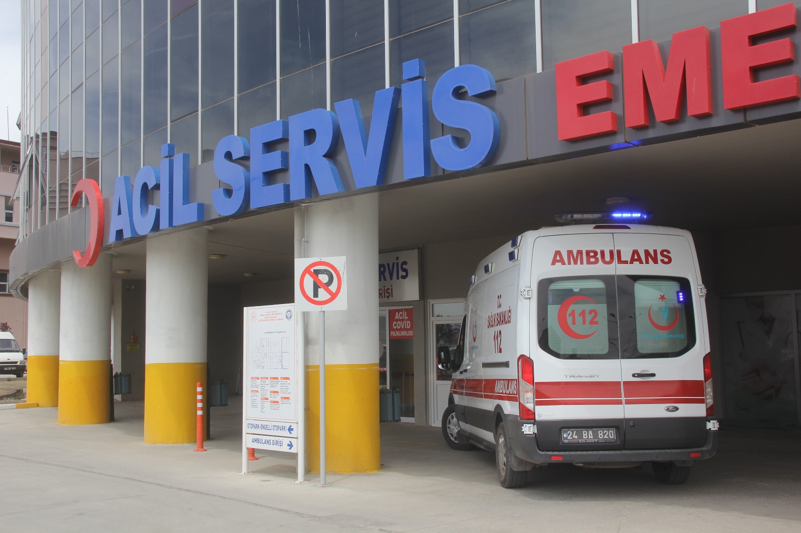 Yaz mevsimiyle birlikte Erzincan’da 7 kişi kene ısırması sonucu hastanelik oldu