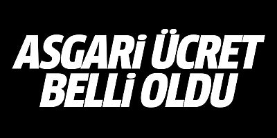 Yeni asgari ücret belli oldu! Yüzde 49 zam geldi...