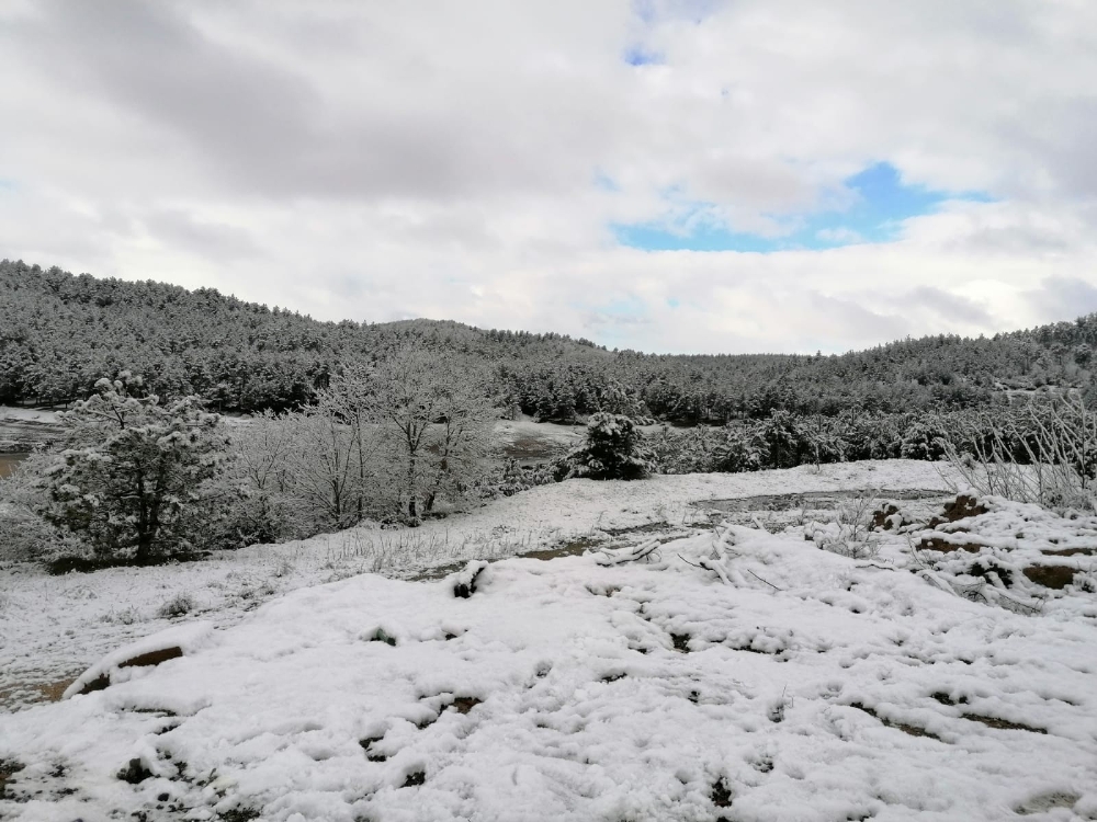 Yenice beyaza büründü