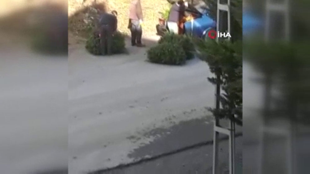 Yılbaşı için kaçak ağaç kesen şahıslara cezai işlem uygulandı