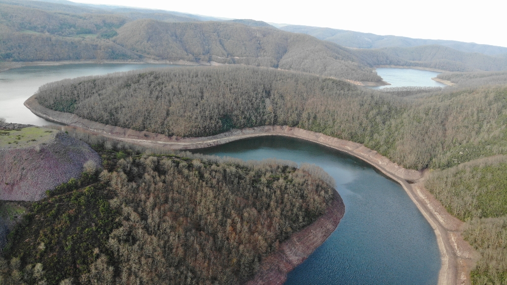 Yılbaşı öncesi kaçak çam ağacı kesimine karşı drone’lu denetim