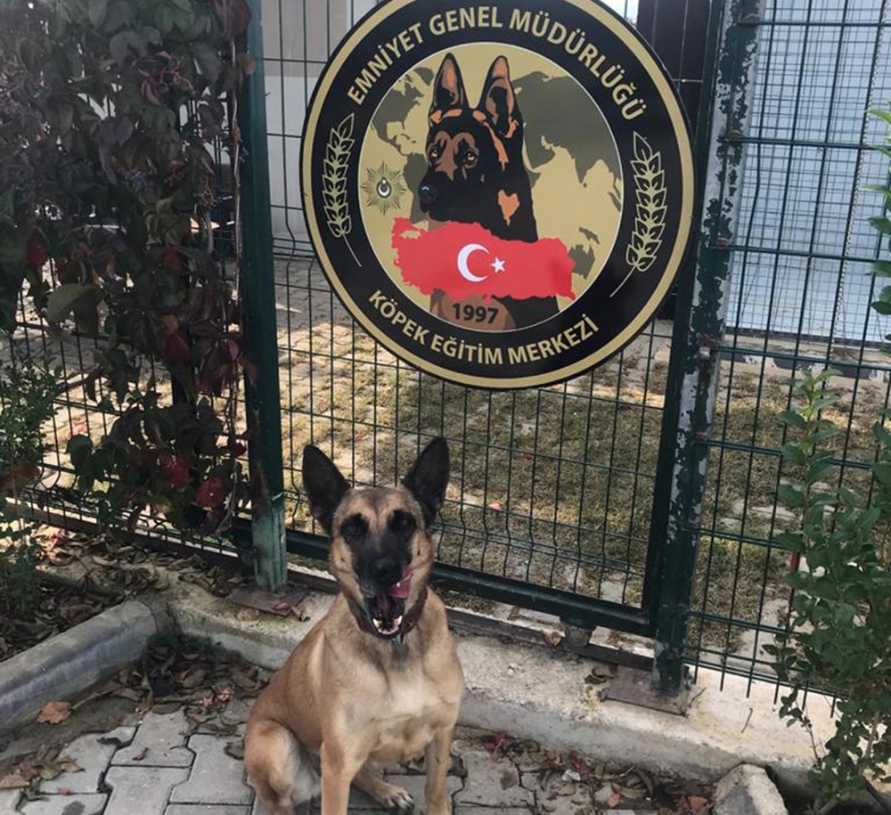Yılın Narkotik köpeği Muğla’dan ‘Hera’