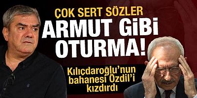 Yılmaz Özdil'den Kılıçdaroğlu'na sert gönderme: Armut gibi oturma!