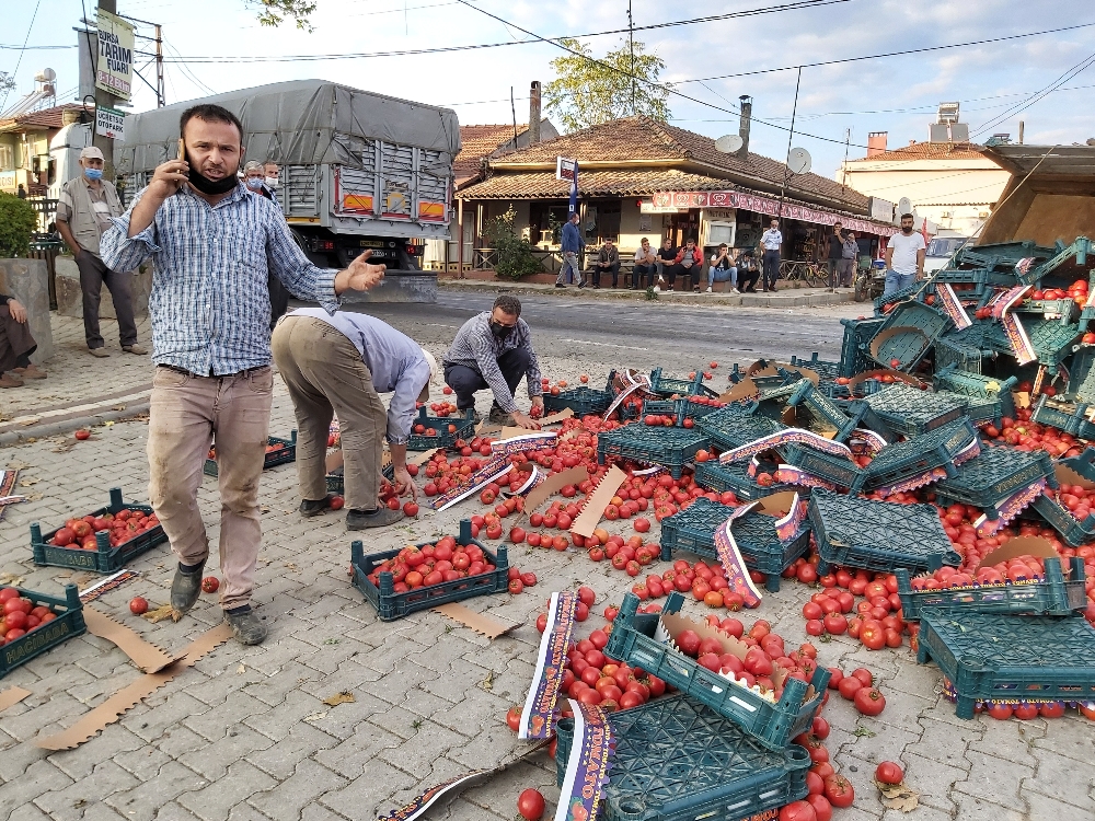 Yol domates tarlasına döndü