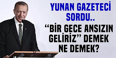 Yunan gazeteci Erdoğan'a sordu! Bir gece aniden geliriz demek ne demek?