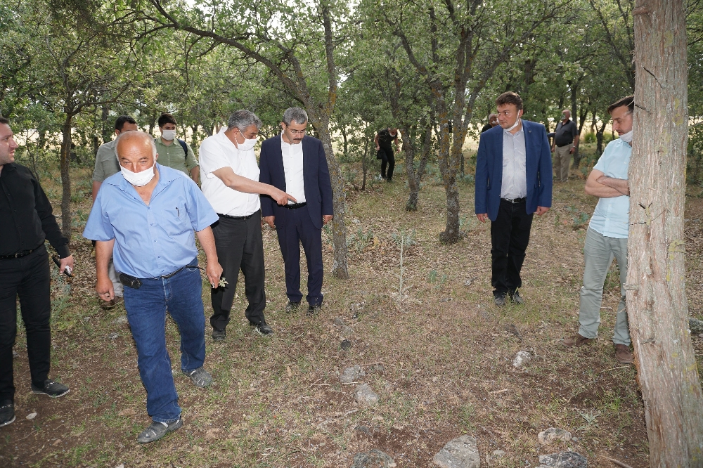 Yunanların 99 yıl önce katlettiği 83 Türk’ün mezar yerleri bulundu