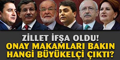 Zillet ifşa oldu: Kılıçdaroğlu liderliğindeki 6'lı ittifakın onay makamı Alman büyükelçisi çıktı!